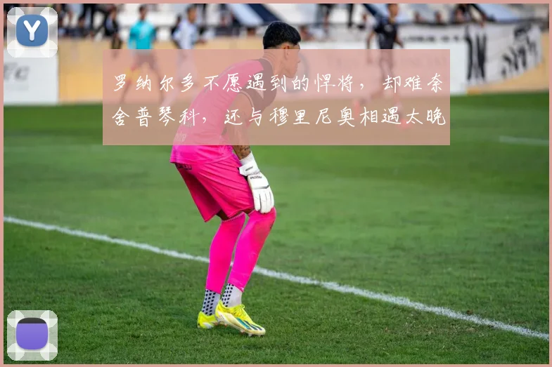 罗纳尔多不愿遇到的悍将，却难奈舍普琴科，还与穆里尼奥相遇太晚