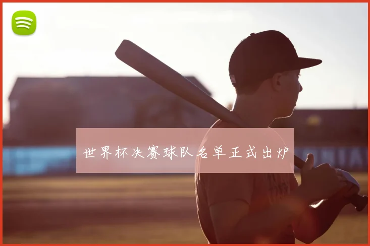 世界杯决赛球队名单正式出炉