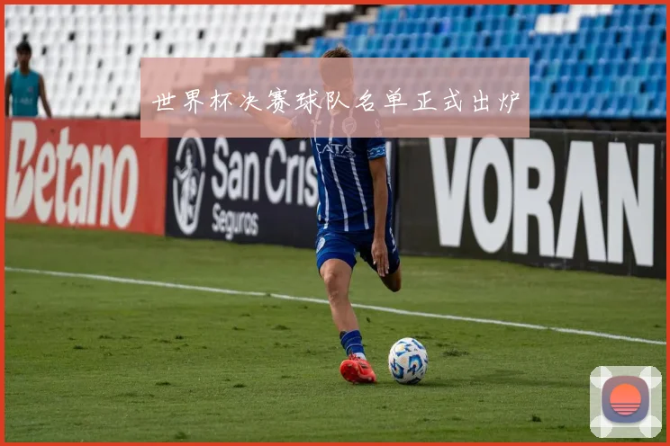 世界杯决赛球队名单正式出炉